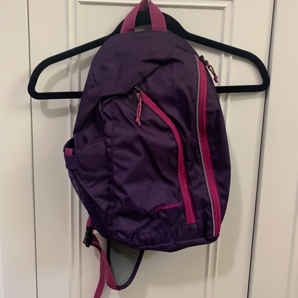 Eddie Bauer walking backpack